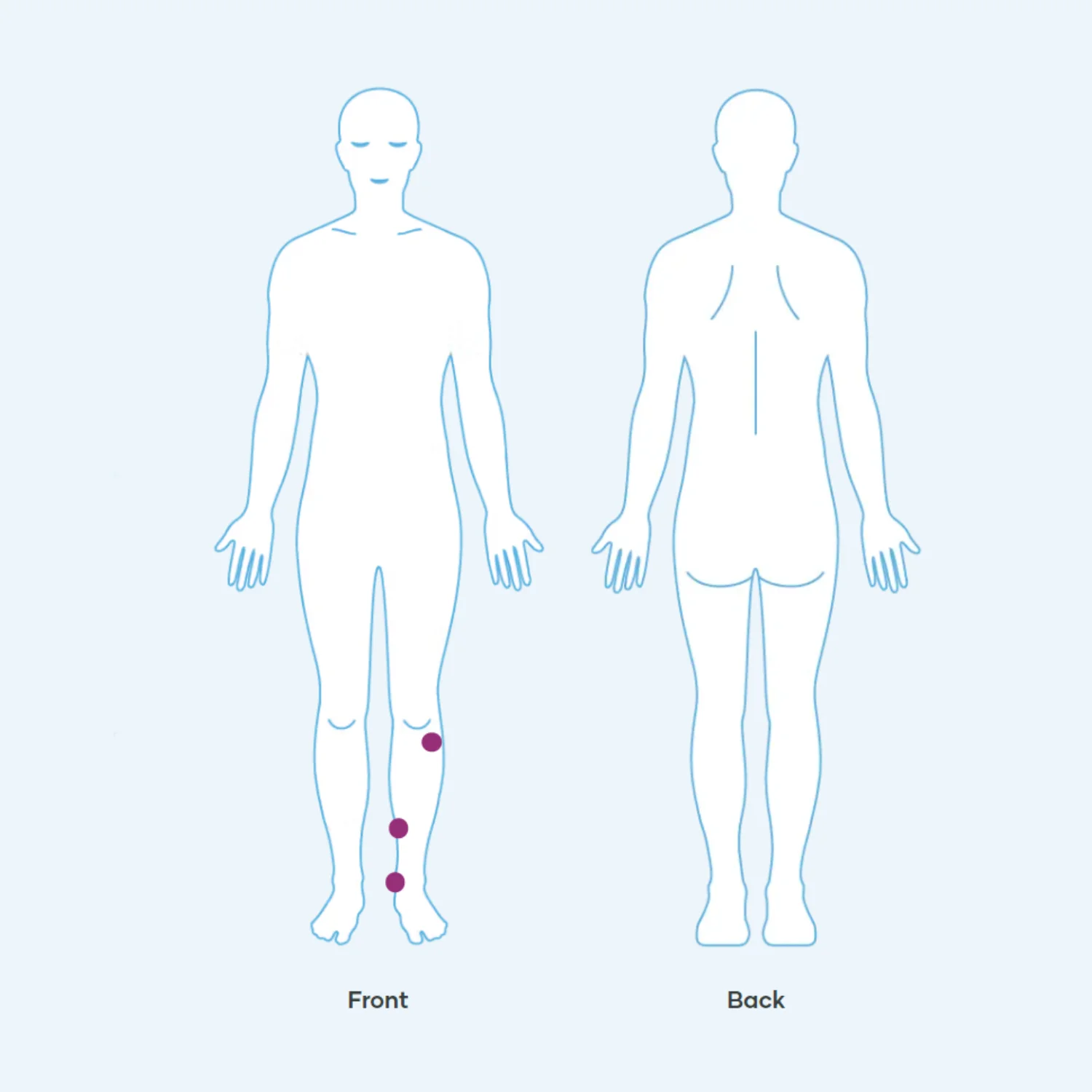 SP6-Complete-Placement-Official-1